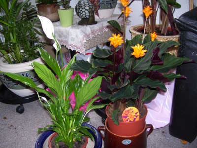 100_0728.jpg