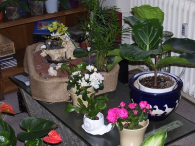 100_0636.jpg