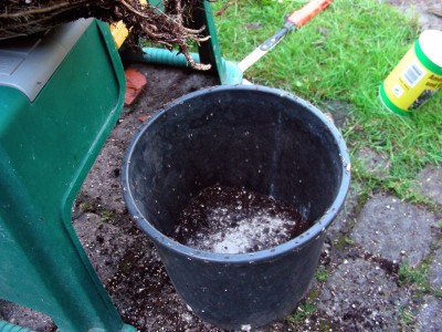 Ameisen bis zum Abwinken w.jpg