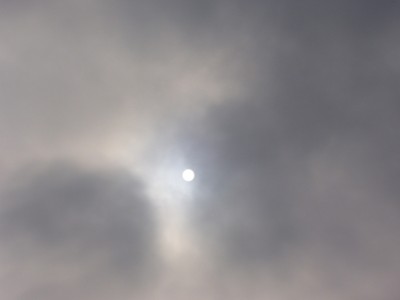 Bild 479m.jpg