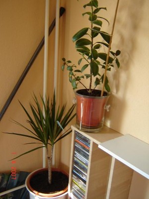 Bild3.JPG