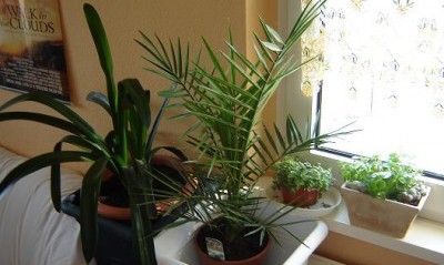 Bild2.JPG