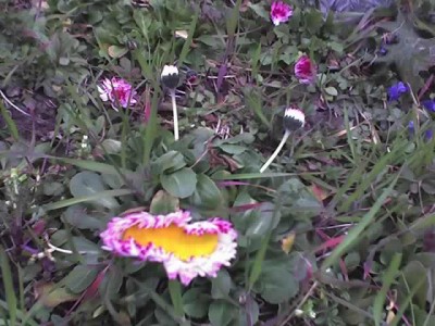 31-03-07_1833.jpg
