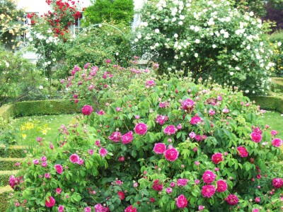 2007_05250010.jpg