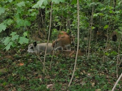 2008-08-02 062azz.jpg