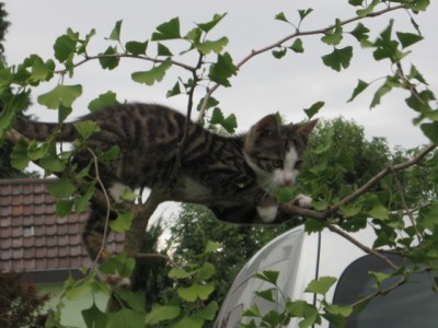 Kopie von Löschen 107.jpg