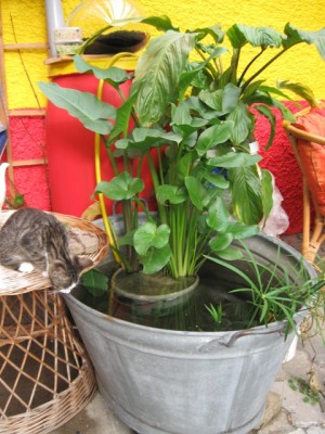 04.08.2008.jpg
