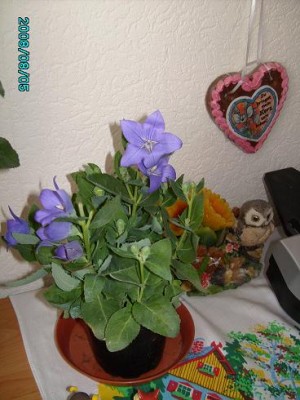 PICT0125.JPG