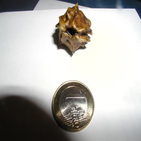 P1010051.JPG