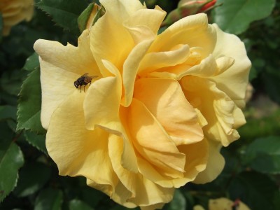 k-2007_08190006.JPG