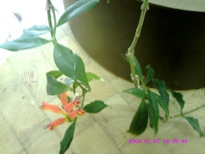CRIM0043.JPG
