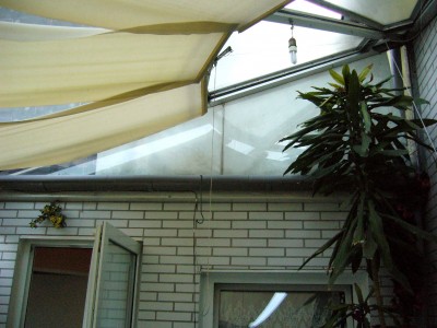 Wintergarten 005.jpg