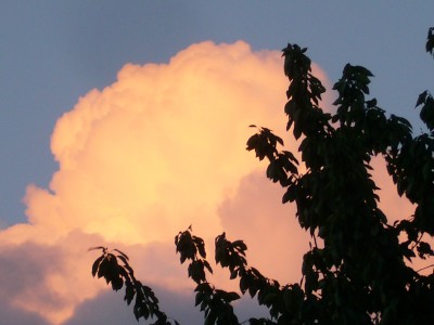 Himmlisch 8.8.08 005.jpg