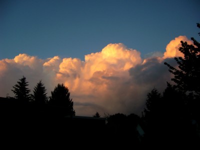 Himmlisch 8.8.08 001.jpg