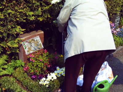 BILD 013 1.JPG