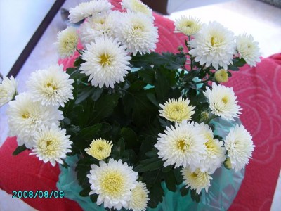 PICT0126.JPG