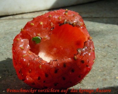 Feinschmeckerrest w.jpg