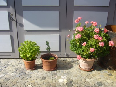 garten 006.jpg