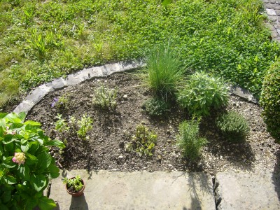 garten 003.jpg