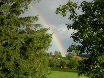 DSCN06410001.JPG