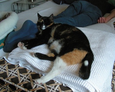 tolles Kopfkissen w.jpg