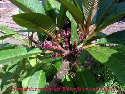 besser geht nicht w.jpg