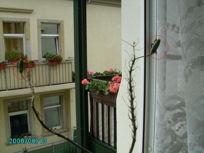 PICT0126.JPG