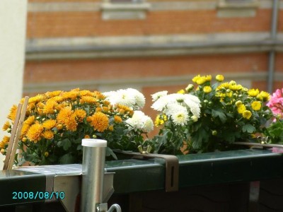 PICT0128.JPG