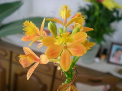 DSCN06790001.JPG