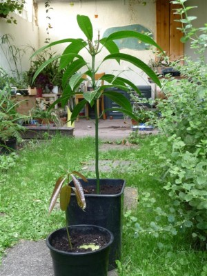 Bild 020 (Large).jpg