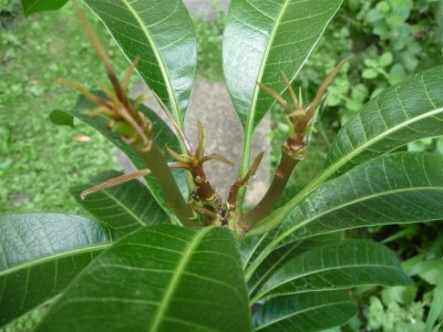 Bild 017 (Large).jpg