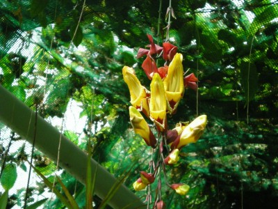 DSCN05690001.JPG