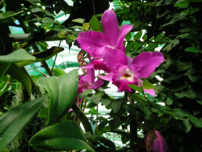 DSCN05790001.JPG