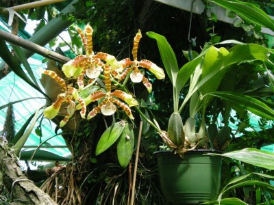 DSCN05830001.JPG