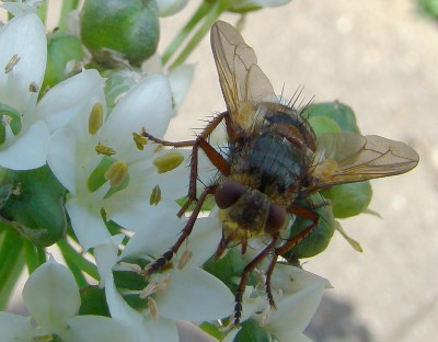 will ich die wirklich so genau sehen.jpg