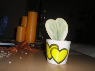 P1010003.JPG