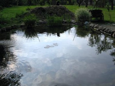 IMG_0010a.JPG