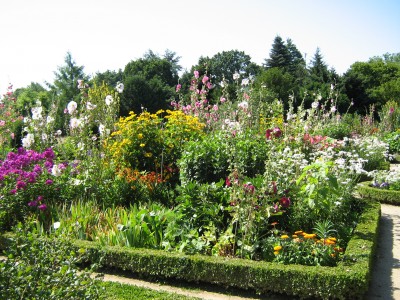 IMG_7506 Bauerngarten.JPG