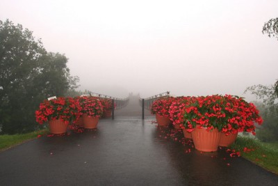 1544_1.jpg