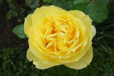 k-2007_08190008.JPG