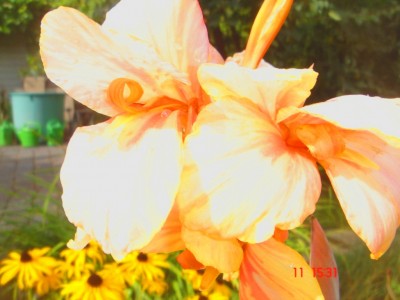 DSC01734.JPG