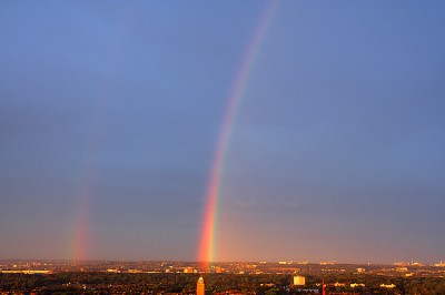 IMG_1950.jpg