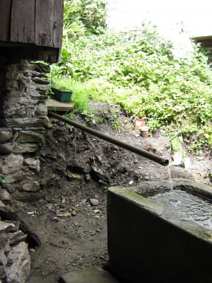 IMG_4433.JPG