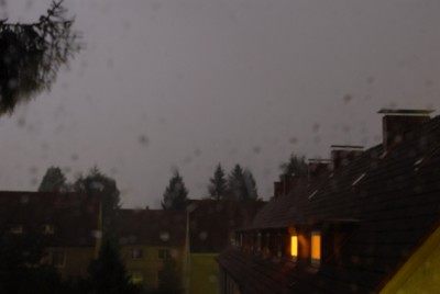 DSC_6451g.jpg