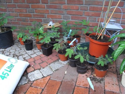 kinderstubejuli.jpg
