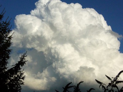 Wolken-Himmlisch 027.jpg