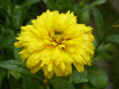 DSCI0005 - Kopie.JPG