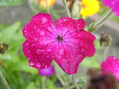 DSCI0007 - Kopie.JPG