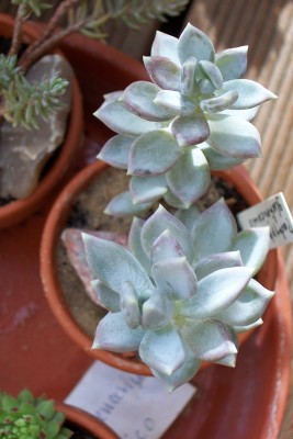 100_3215.JPG