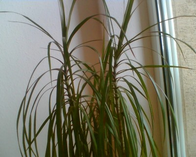 Bild038.jpg